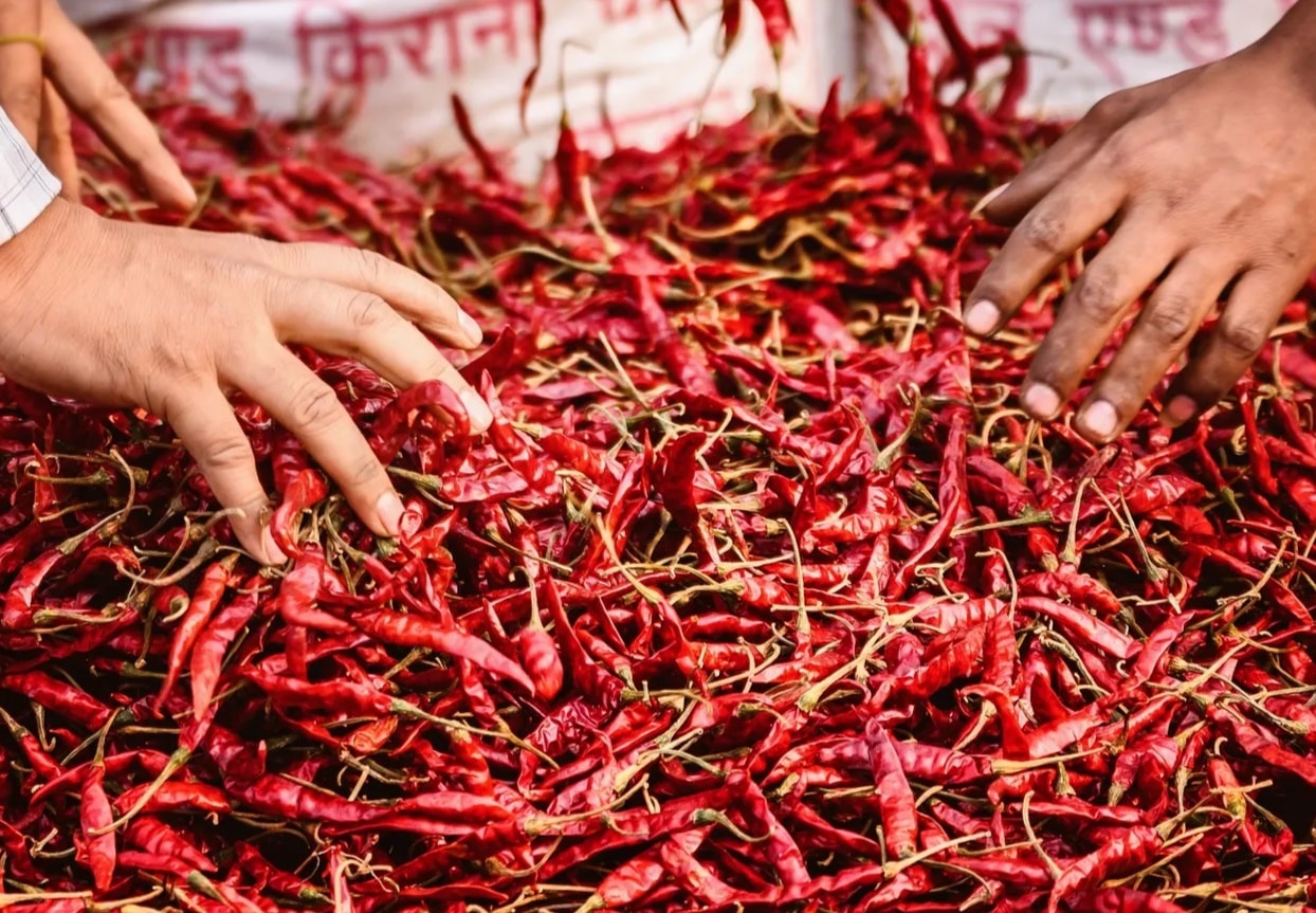 Dry Red Chilly