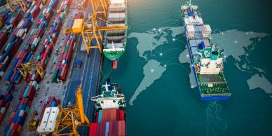 Comprehensive Export Solutions